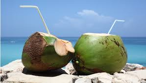 coconuts on the beach.jpg