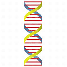 dna.jpg