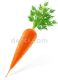 carrot.jpg