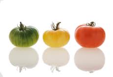 integrated colours.jpg