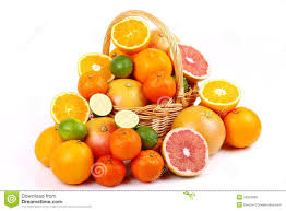 basket of citrus fruit.jpg