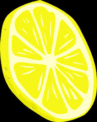 slice of lemon.jpg