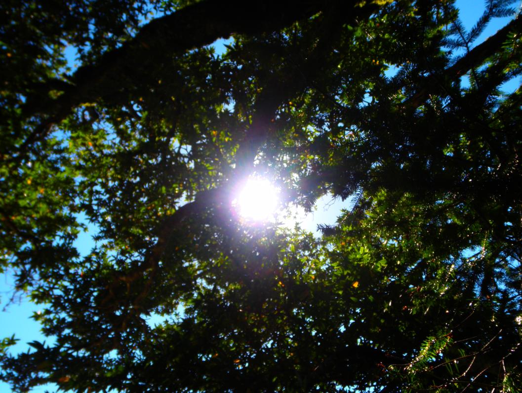 ecstasy as a state of mind.jpg