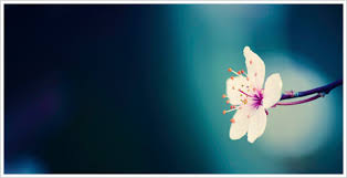 self realisation.jpg